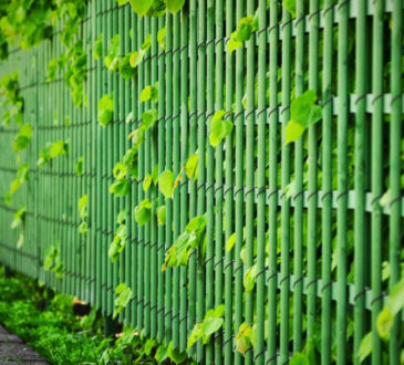 3 conseils pour installer efficacement un rouleau brise vue