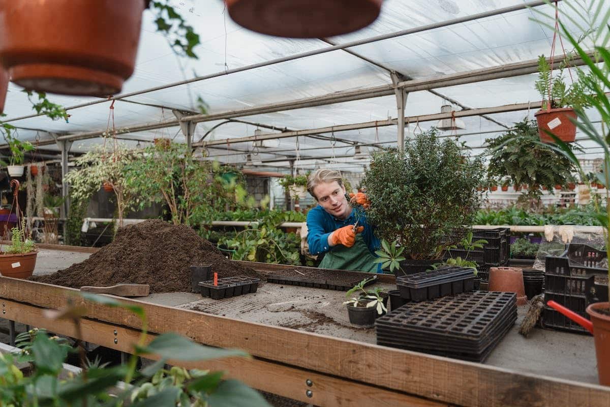 compost potager