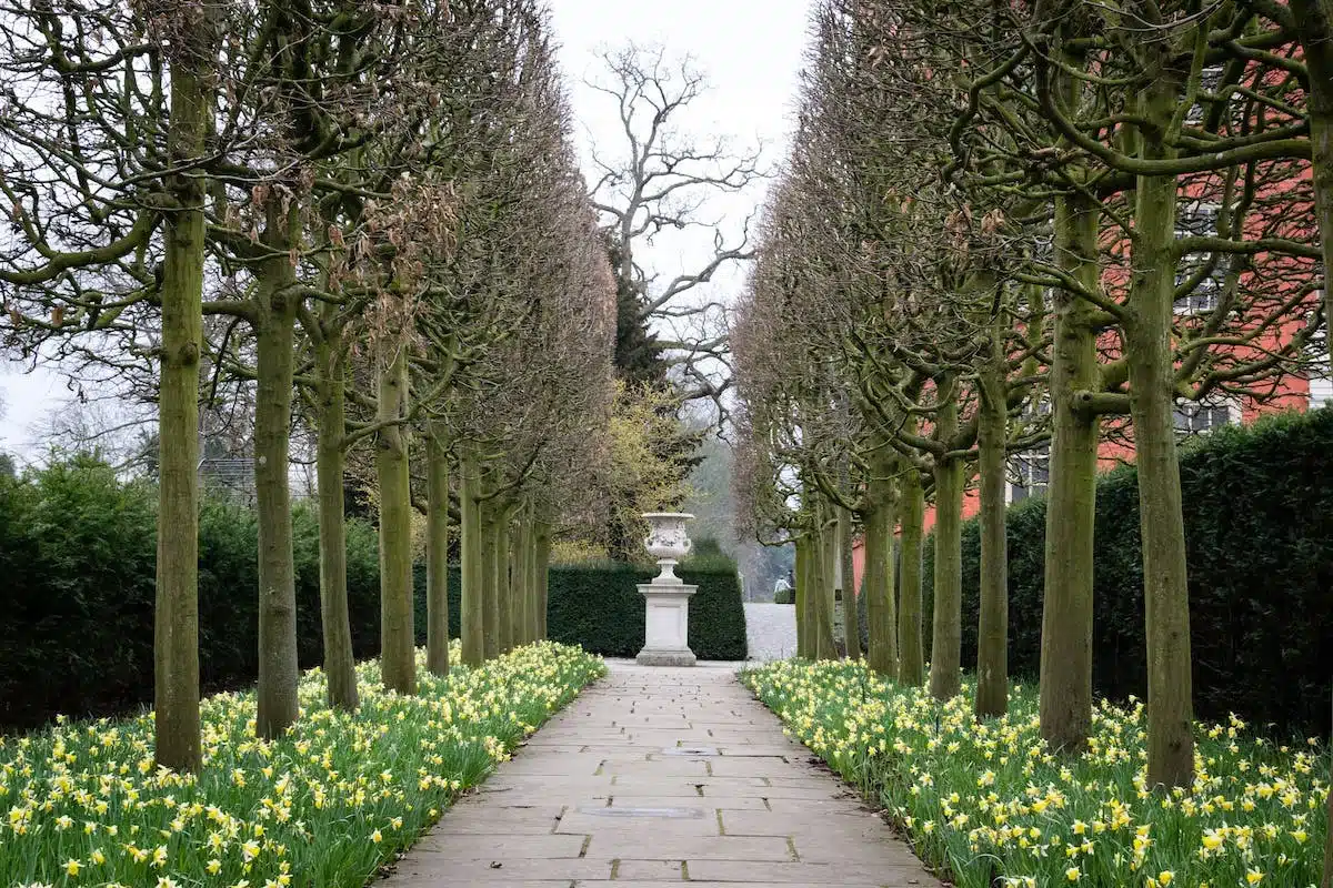 jardinage carré