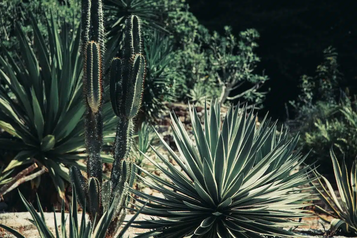 jardin écologique