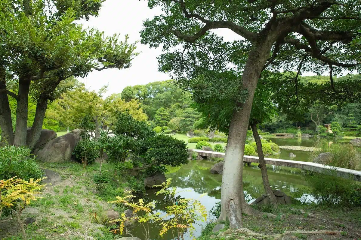 jardin écologique