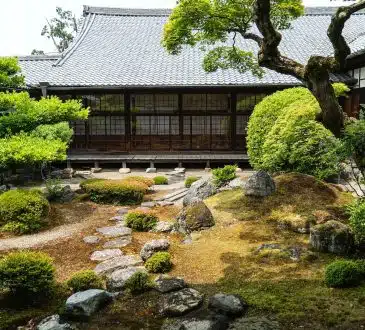 Comment créer un jardin zen avec du gazon japonais ?
