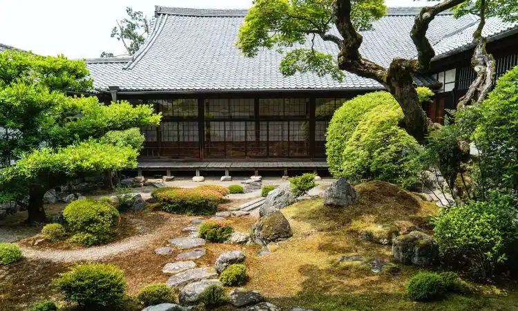 Comment créer un jardin zen avec du gazon japonais ?