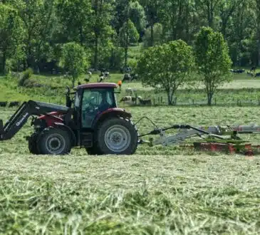 Agriculture de conservation