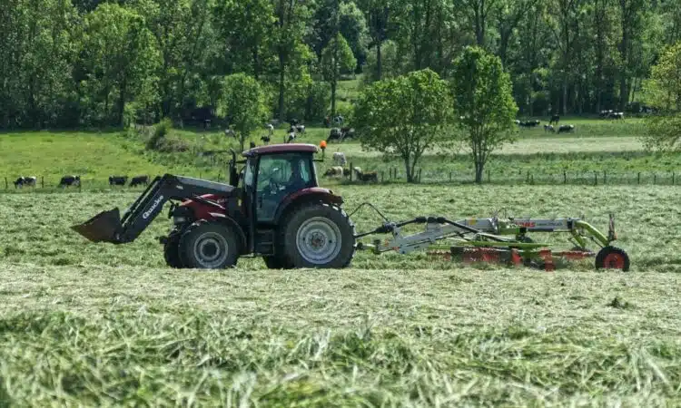 Agriculture de conservation