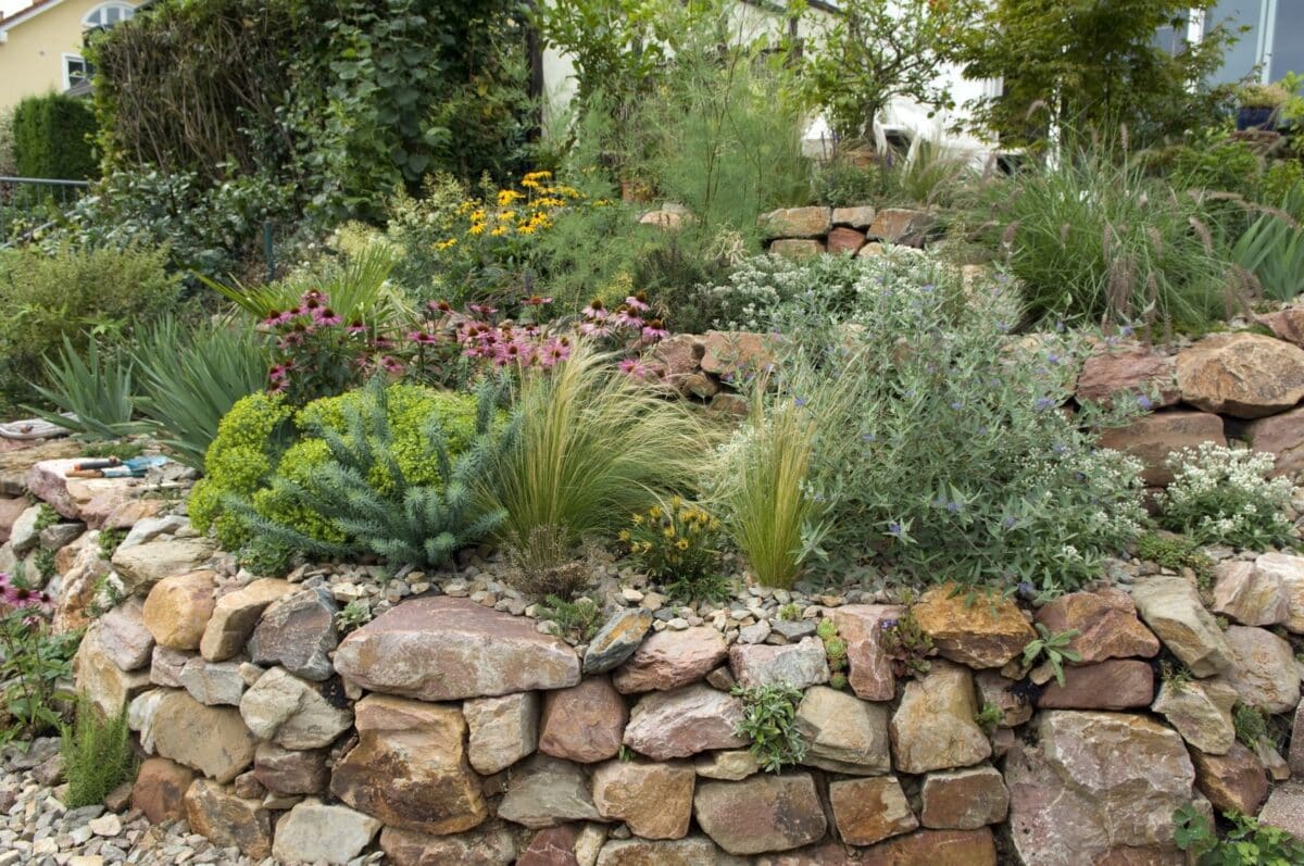 Choisir les meilleures pierres pour votre talus de jardin : conseils et astuces