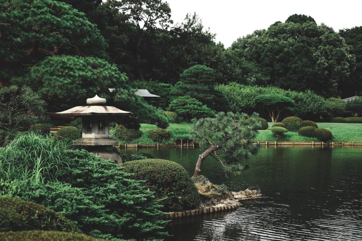 Comment créer un jardin zen avec du gazon japonais ?