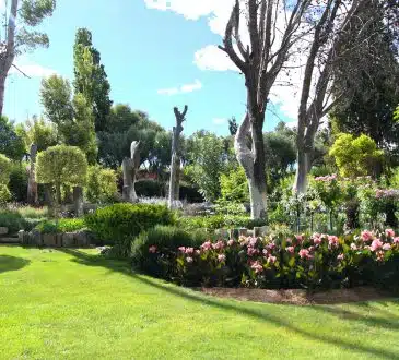 Quelles sont les meilleures bordures de jardin ?