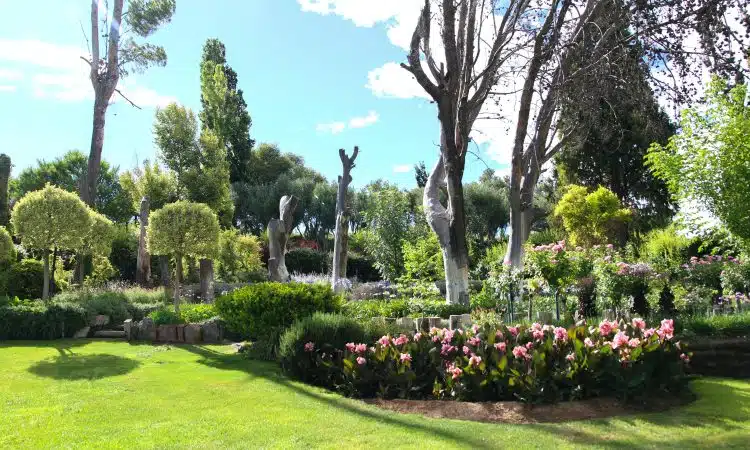 Quelles sont les meilleures bordures de jardin ?