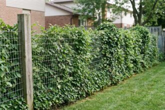 Clôture en grillage souple entrelacée d'une haie de charme dans un jardin résidentiel