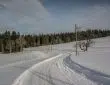 snow covered road between trees under blue sky during daytime