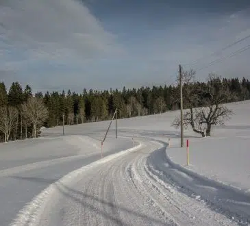 snow covered road between trees under blue sky during daytime