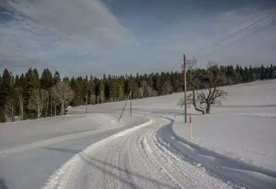 snow covered road between trees under blue sky during daytime