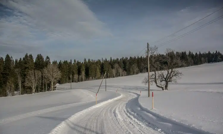 snow covered road between trees under blue sky during daytime