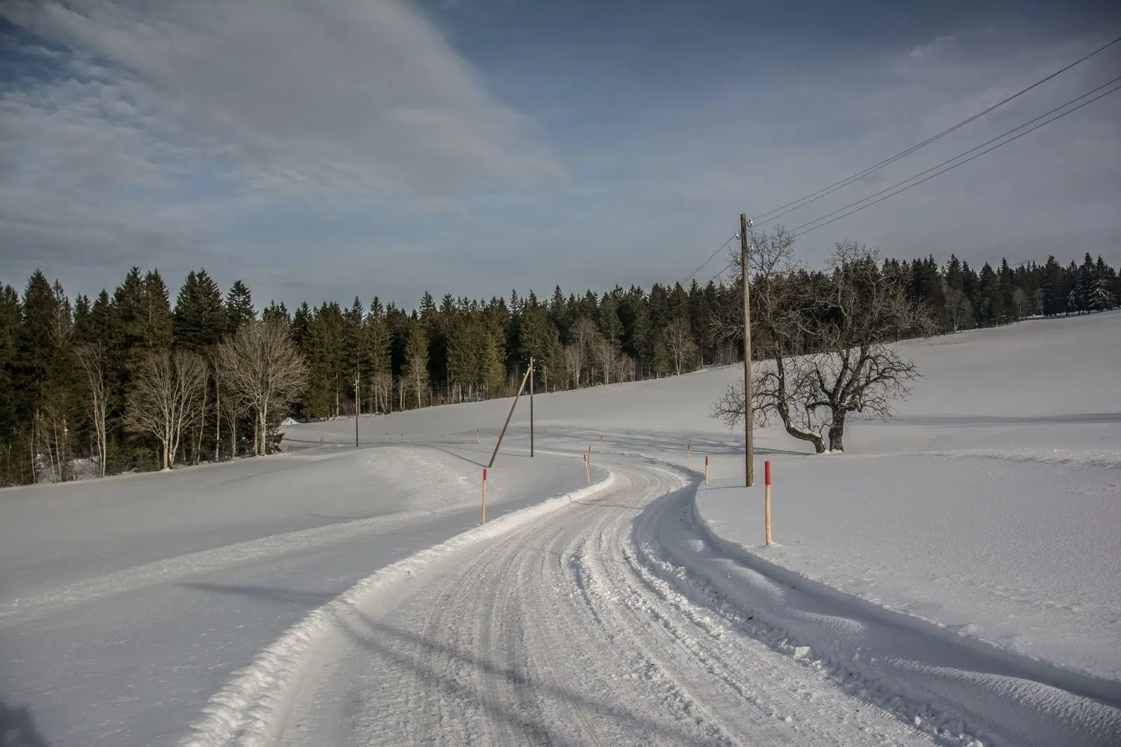 snow covered road between trees under blue sky during daytime