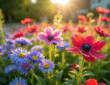 Jardin coloré avec anemones et asters en plein soleil