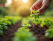Mains de jardinier arrachant des mauvaises herbes dans un jardin verdoyant