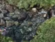rocky stream