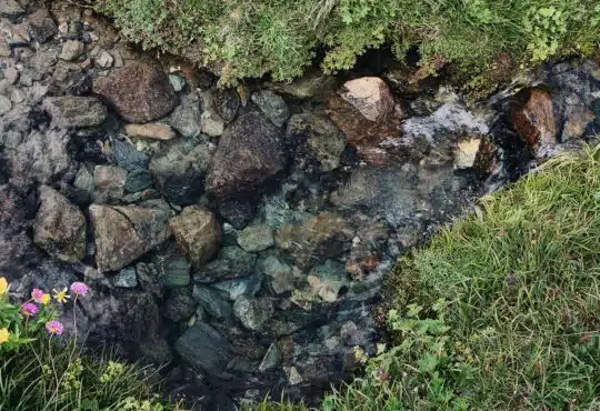 rocky stream