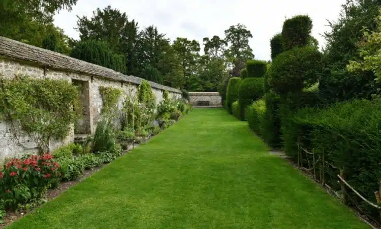 aménager un jardin