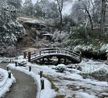Jardin d'hiver avec un pont, de la neige et un petit chemin