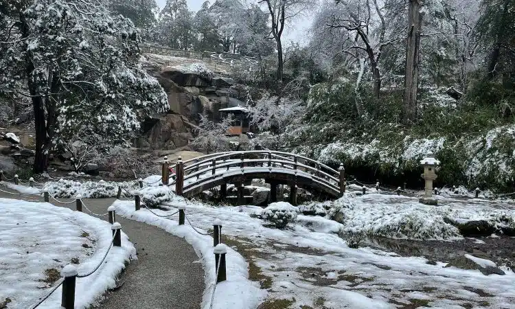 Jardin d'hiver avec un pont, de la neige et un petit chemin