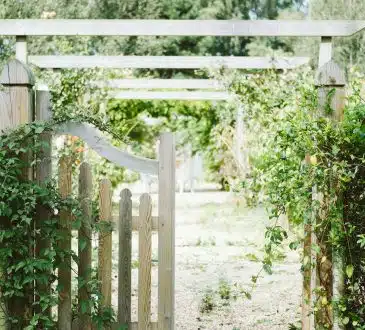 Comment embellir votre jardin en aménageant un talus avec des pierres