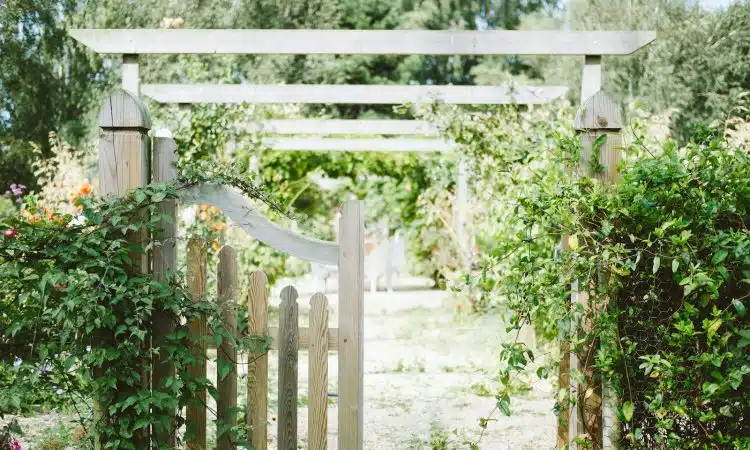 Comment embellir votre jardin en aménageant un talus avec des pierres