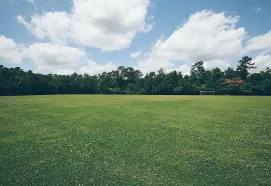 green grass field