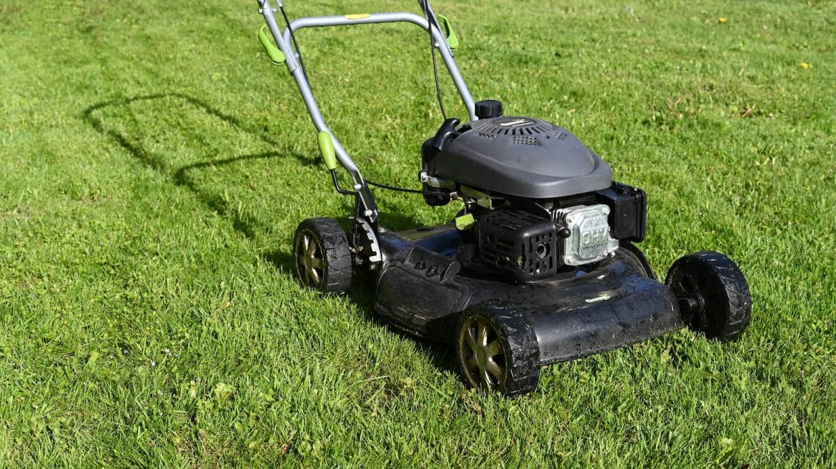 black and yellow push lawn mower on green grass during daytime